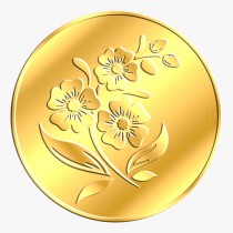Mittal Group Gold Coin 100 grams 24 KT (995)
