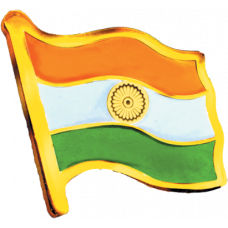 Mittal Group Indian Flag Lapel Pin