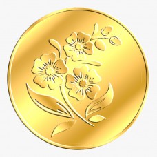 Mittal Group Gold Coin 100 grams 24 KT (995)